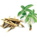 organifi amazon ingredient