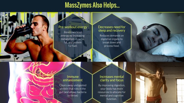 masszymes-benefits